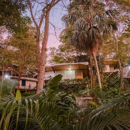 Serrano Tayrona Lodge エル・ザイノ エクステリア 写真