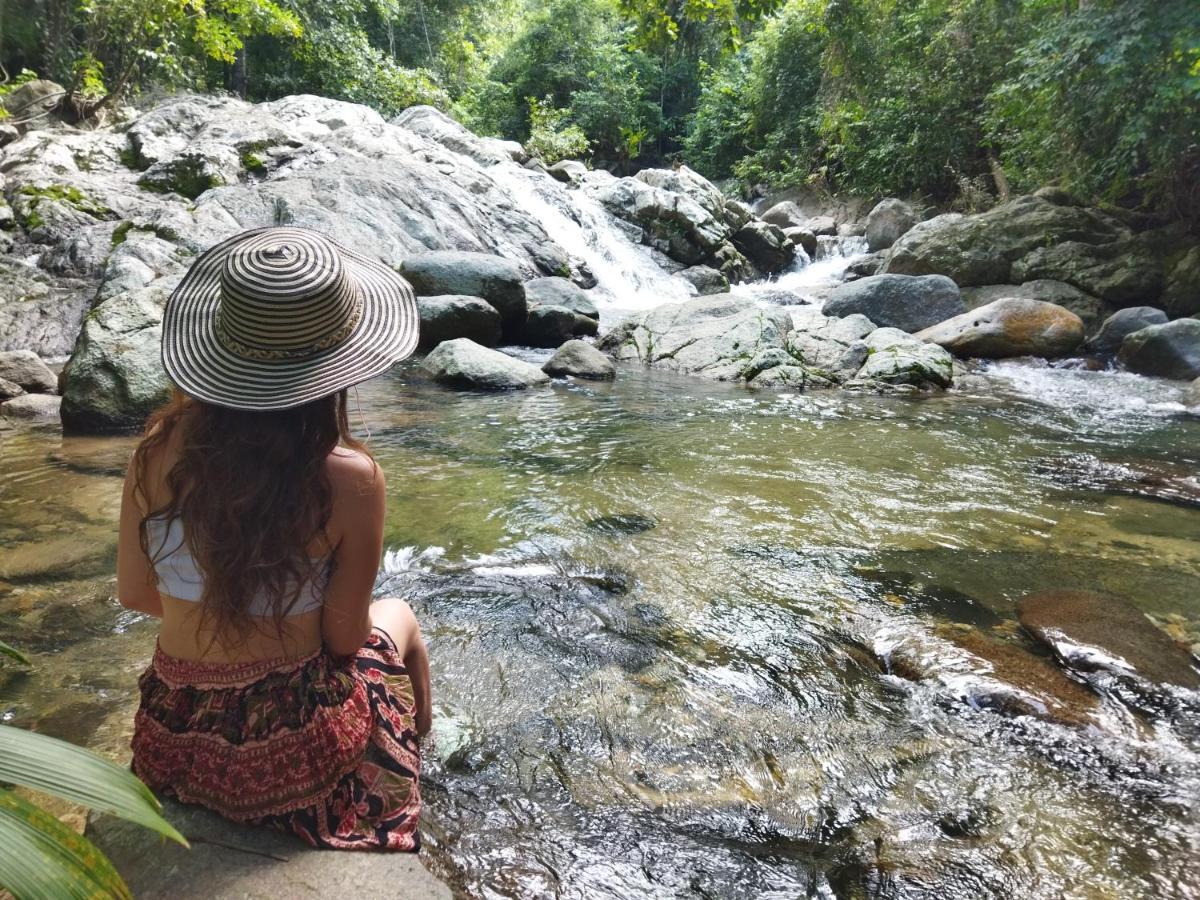 Serrano Tayrona Lodge エル・ザイノ エクステリア 写真