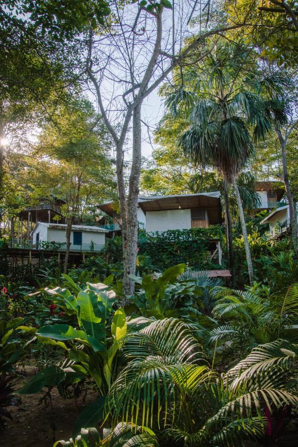 Serrano Tayrona Lodge エル・ザイノ エクステリア 写真