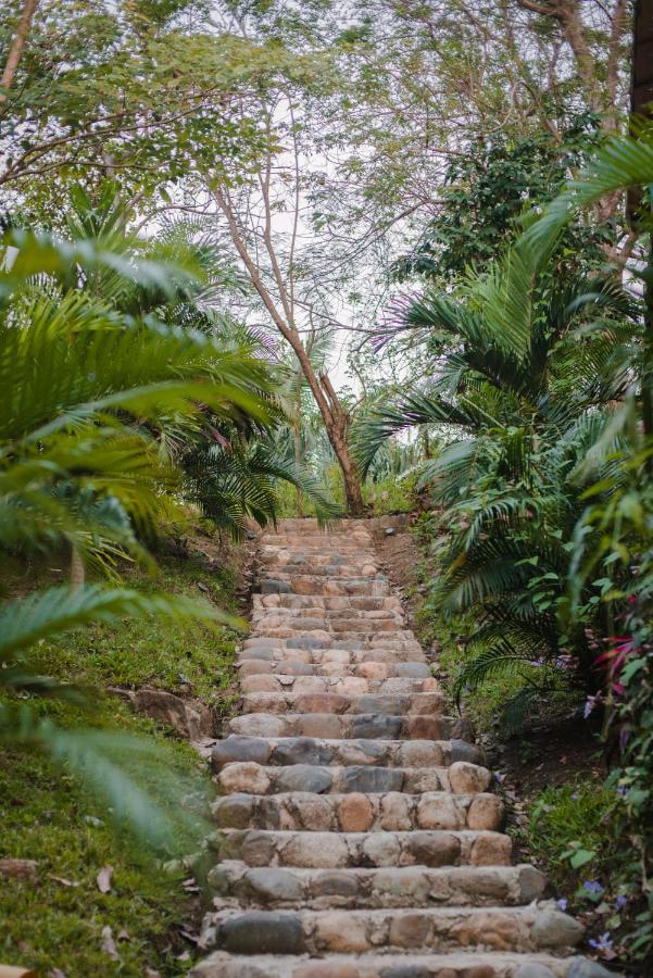 Serrano Tayrona Lodge エル・ザイノ エクステリア 写真