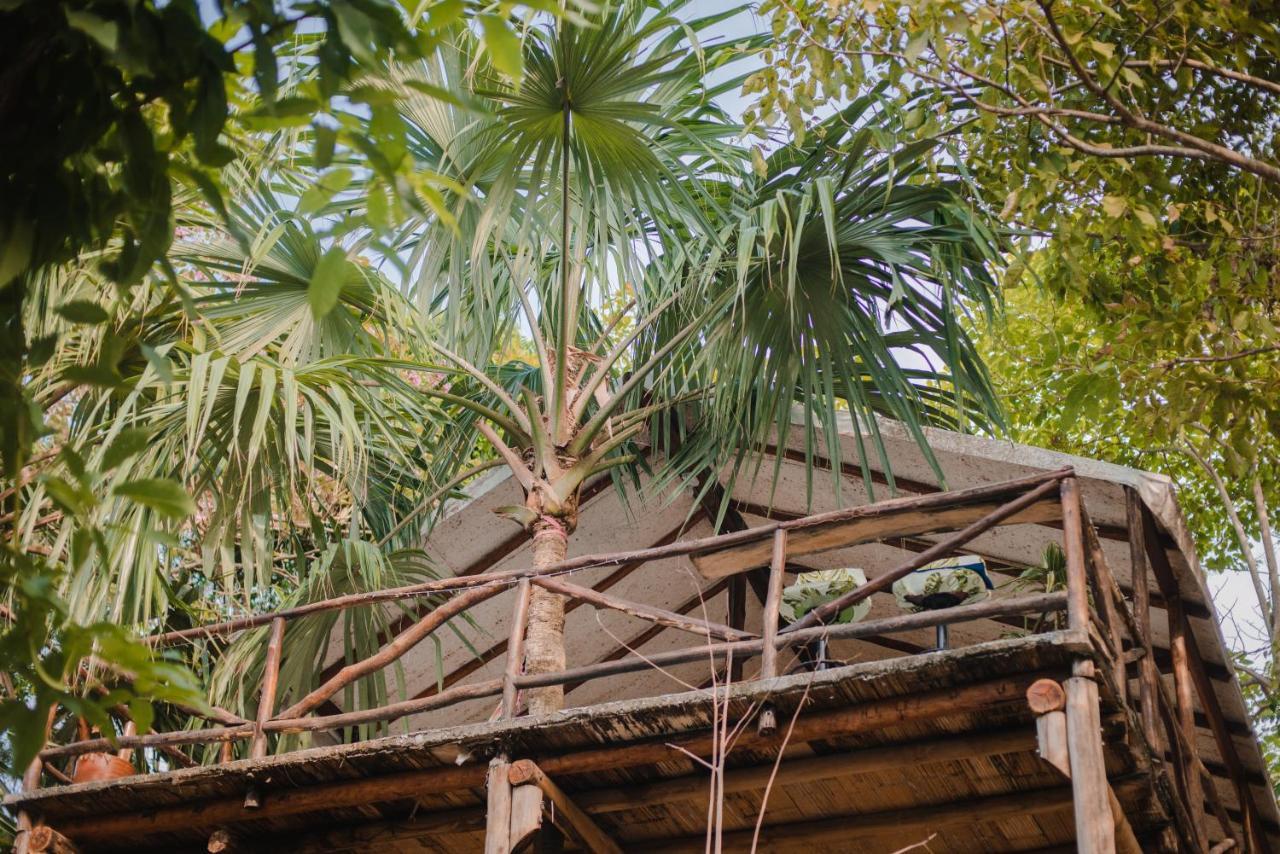Serrano Tayrona Lodge エル・ザイノ エクステリア 写真