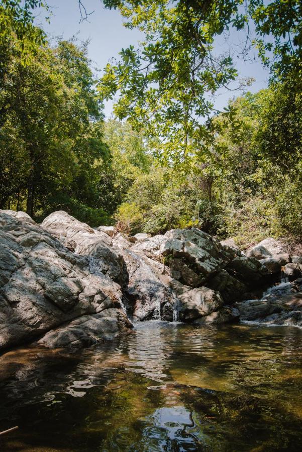 Serrano Tayrona Lodge エル・ザイノ エクステリア 写真
