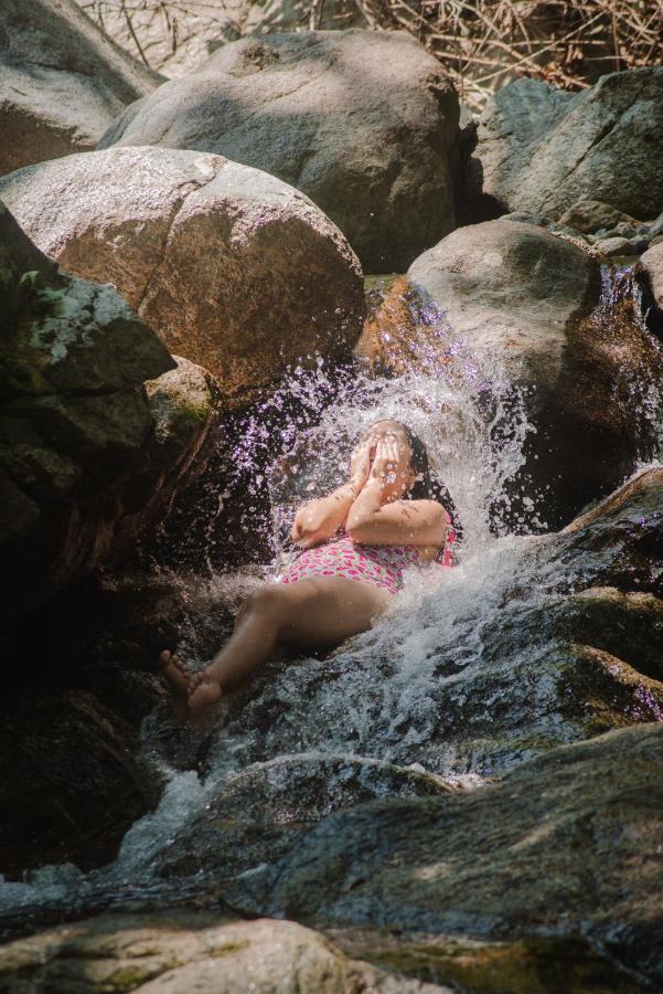 Serrano Tayrona Lodge エル・ザイノ エクステリア 写真
